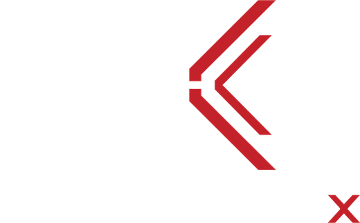 الجناح الإلكتروني E WING X